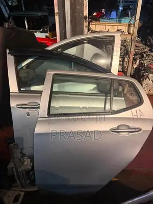 Perodua Axia door
