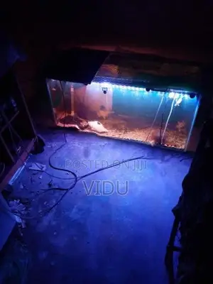 Fish Tank