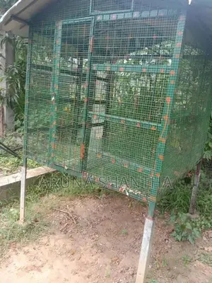 Iron Bird Cage