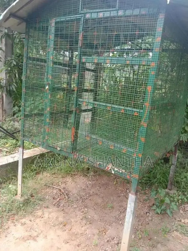 Iron Bird Cage