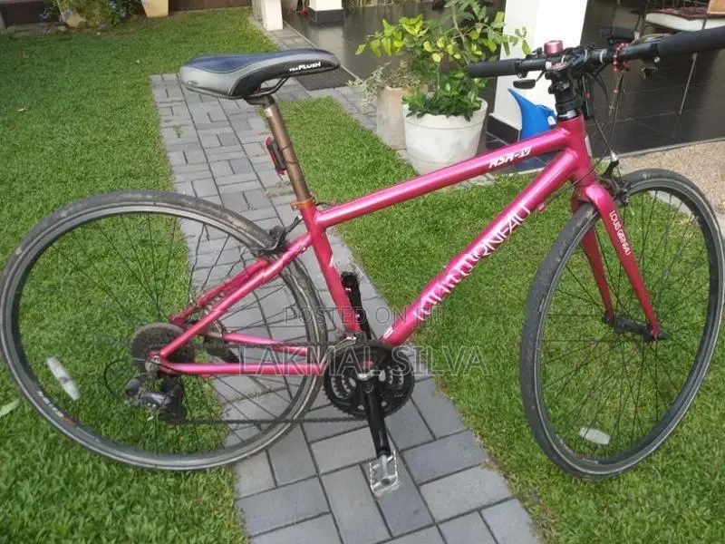 Mountain Bike