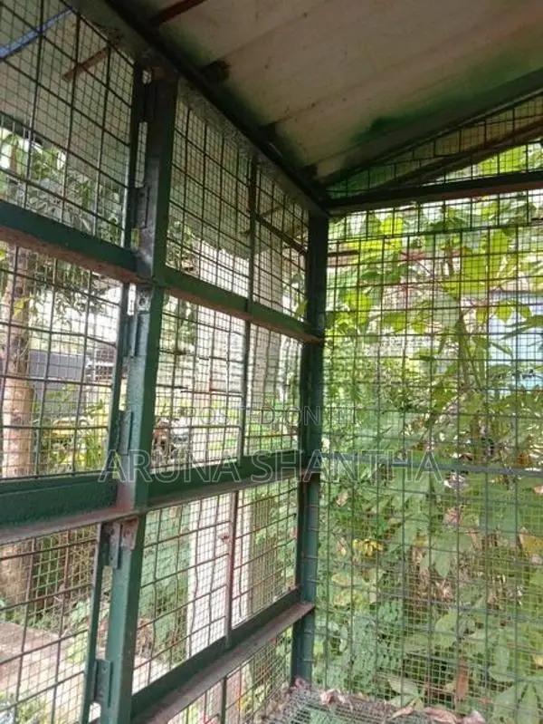 Iron Bird Cage