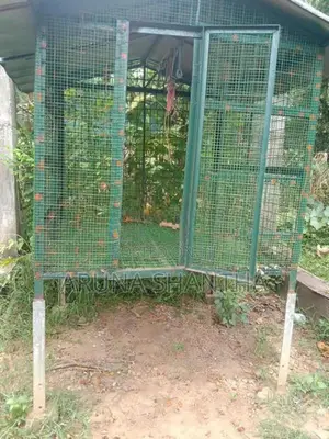 Iron Bird Cage