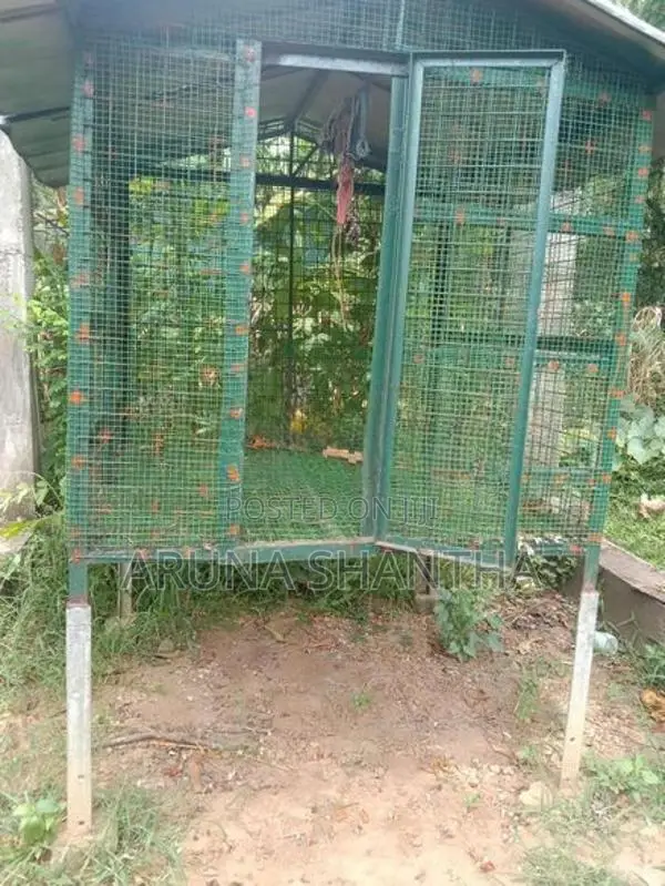Iron Bird Cage