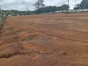 කැස්බෑව – බණ්ඩාරගම ආසන්නයේ ඉඩම