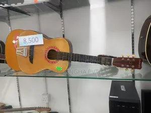 Samick Box Guitar