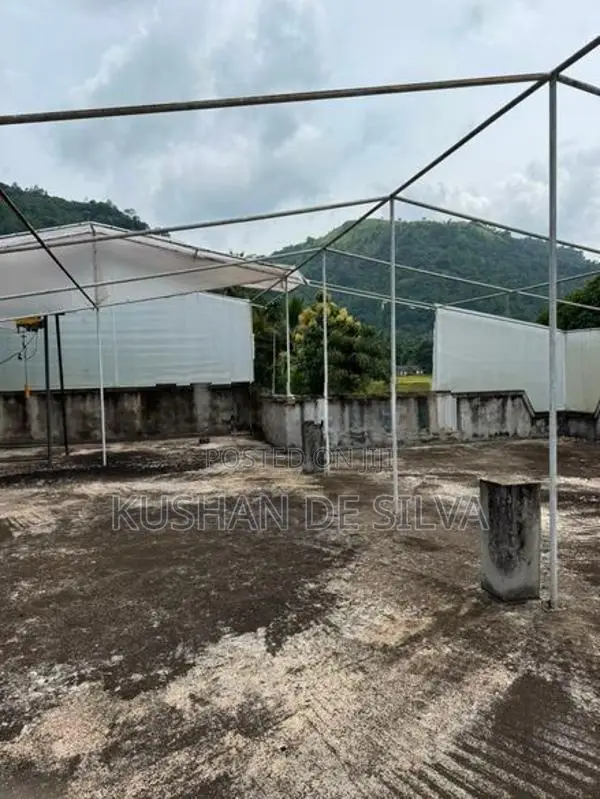 Green House Structure 2000 Sq ft