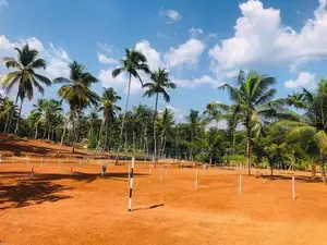 Gated Land Sale Project with Paddy Field View in Nittambuwa Y44
