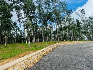 හොරන නගරයට ළගින් වටිනා බිම්කොටස්
