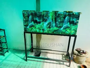 Fish Tank 4ft x 1.5ft with Iron Stand, Roof Filter