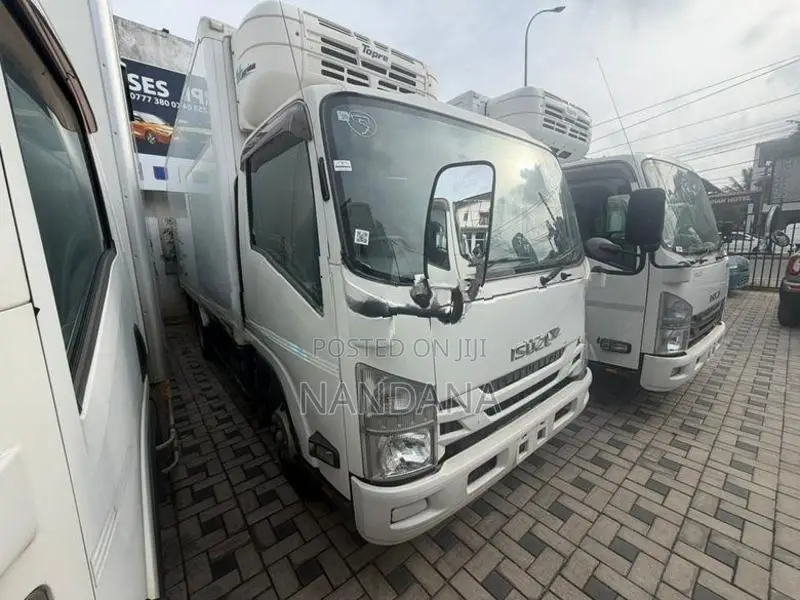 Isuzu Elf FREEZER 15.5 2017
