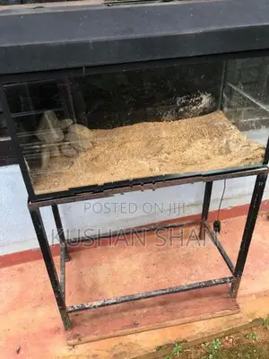 fish tank