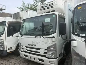 Isuzu Elf FREEZER 15.5 2017