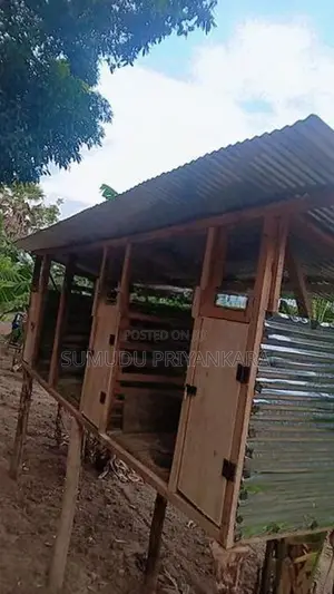 කුකුල් කුඩ