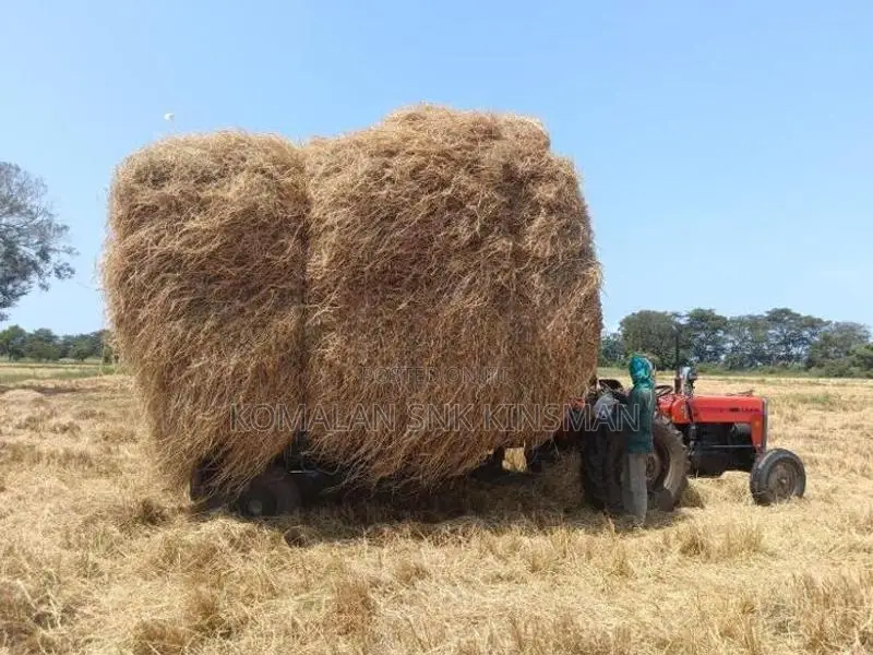 Vaikkal (Straw)