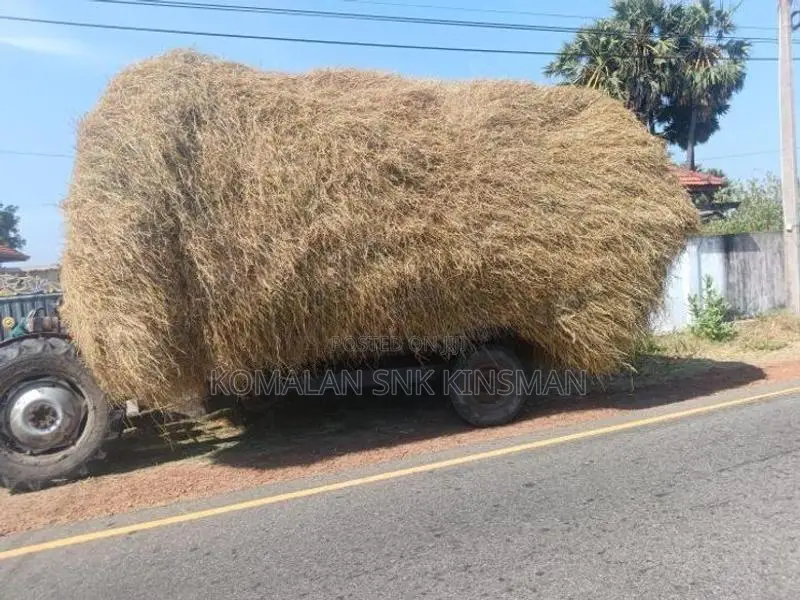 Vaikkal (Straw)