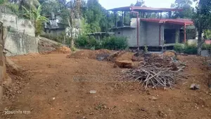 බදුල්ල ඉඩමක් විකිණීමට