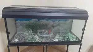 4FT Aquarium / Fish Tank with Stand