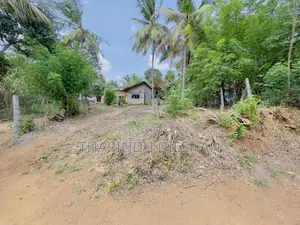 ඇඹිලිපිටිය නගරයට ආසන්නයෙන් ඉඩමක් විකිණීමට