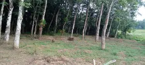 Athurugiriya - Panagoda Paddy Field Facing Land for Sale .
