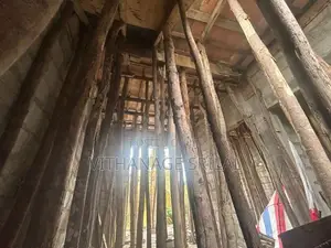 සැටලිම