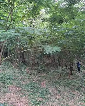 Land for Sale (3987 A) Kandy