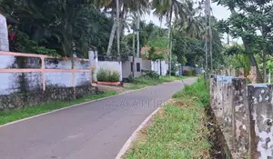 45.8 Perches Commercial Land for Sale in Negombo.