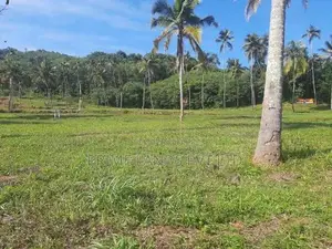 නාරම්මල ටවුමටත් නාකලගමුව අදිවේගි පිවිසුමටත් ලගින් සුපිරි ඉඩමක්