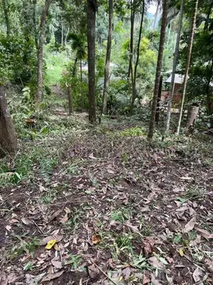 Prime Residential Land for Sale in Amunugama, Kandy