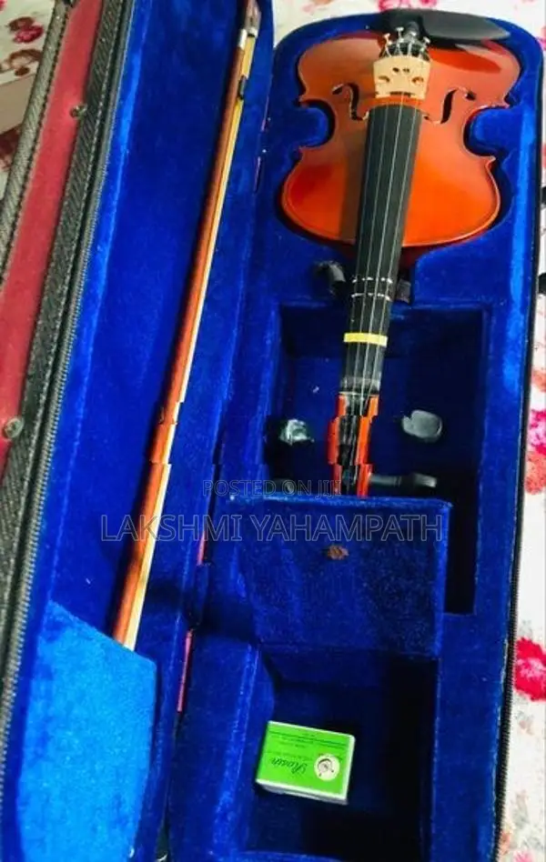 Violin