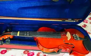 Violin