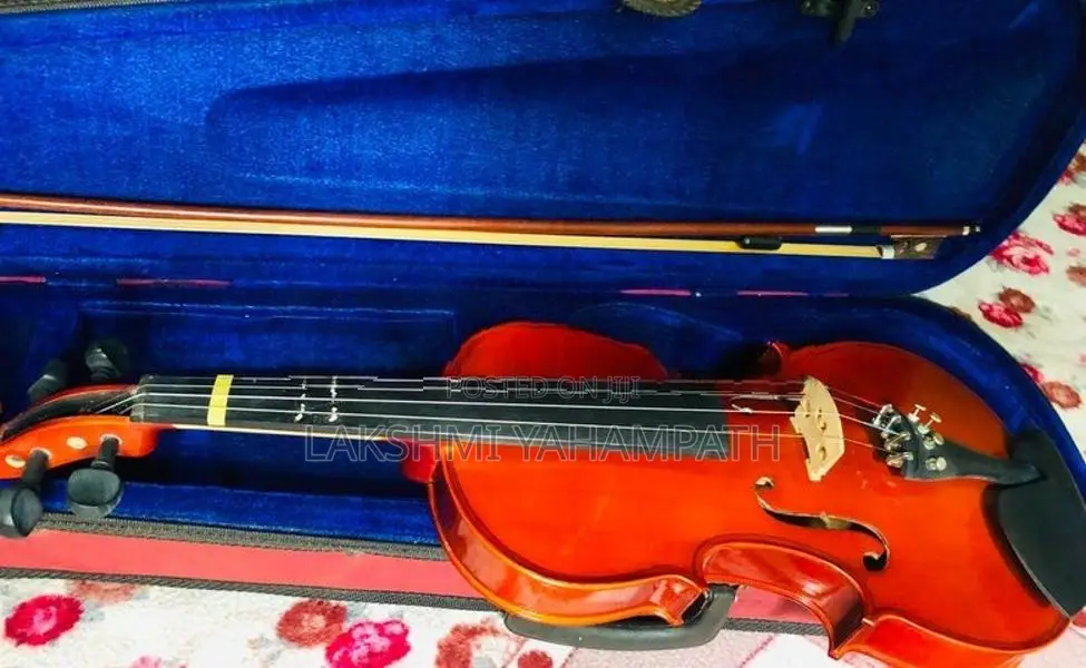 Violin