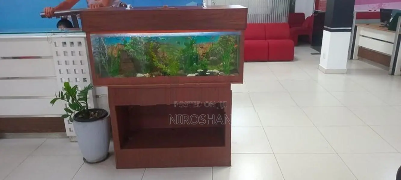 Fish tank