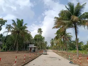 Land for Sale Narammala