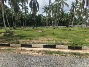 අගනා බිම් කොටස් යක්කල
