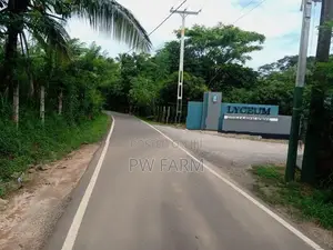 Large Land for Sale Near Kurunegala Town