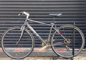 Giant Escape Bicycle