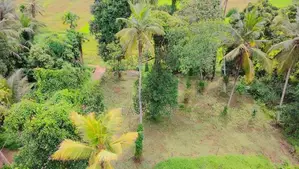 Mirigama Land for Sale