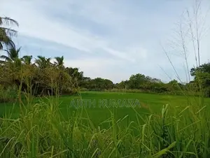 කුඹුරැ අක්කරයක ඉඩමක් විකිනිමට කතරගම
