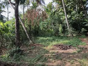 Prime Residential Land for Sale in Puwakpitiya, Avissawella