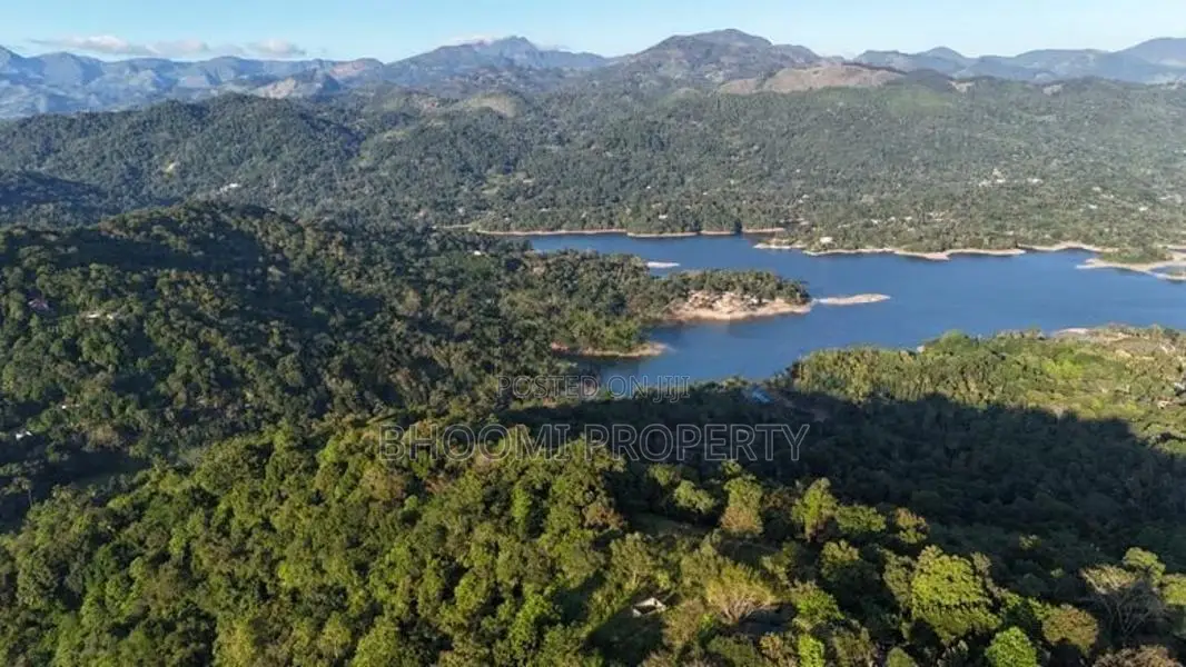 Land for Sale in Digana