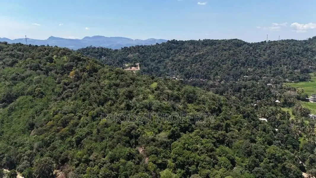 Land for Sale in Digana
