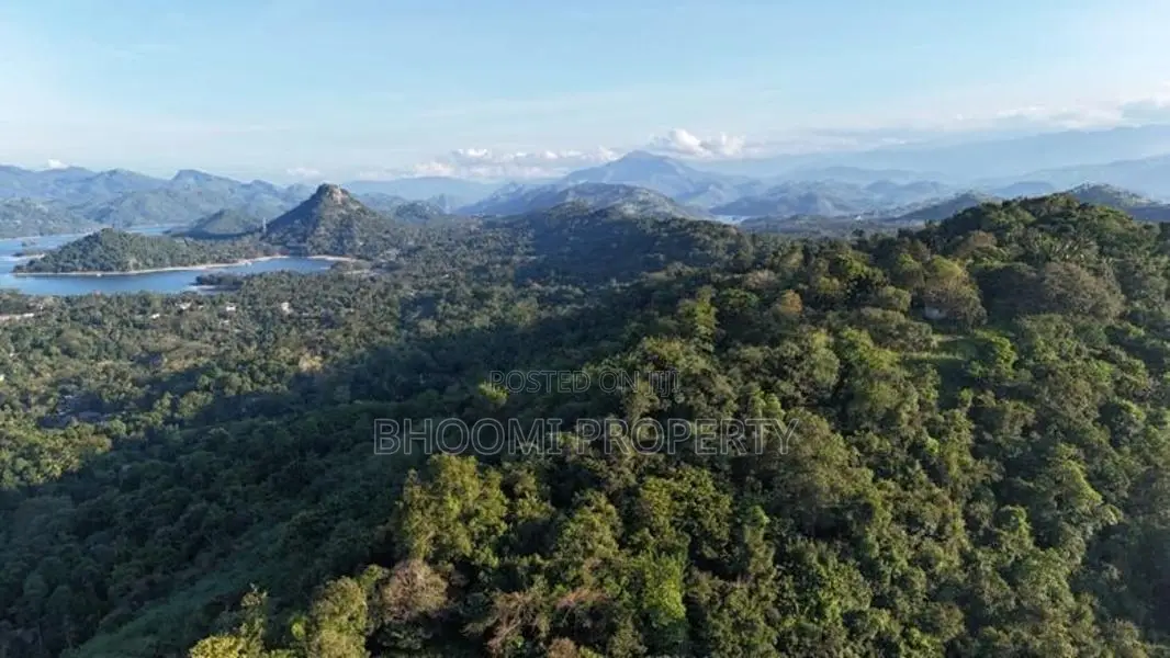Land for Sale in Digana