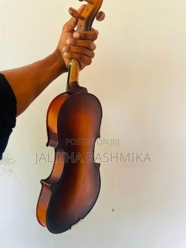 Violin