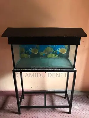 Fish Tank