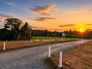 කහතුඩුව වෙල් යායකට මුහුණලා ඇති වටිනා බිම් කොටස