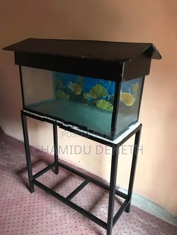 Fish Tank