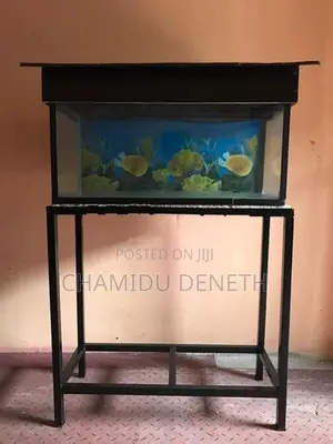 Fish Tank