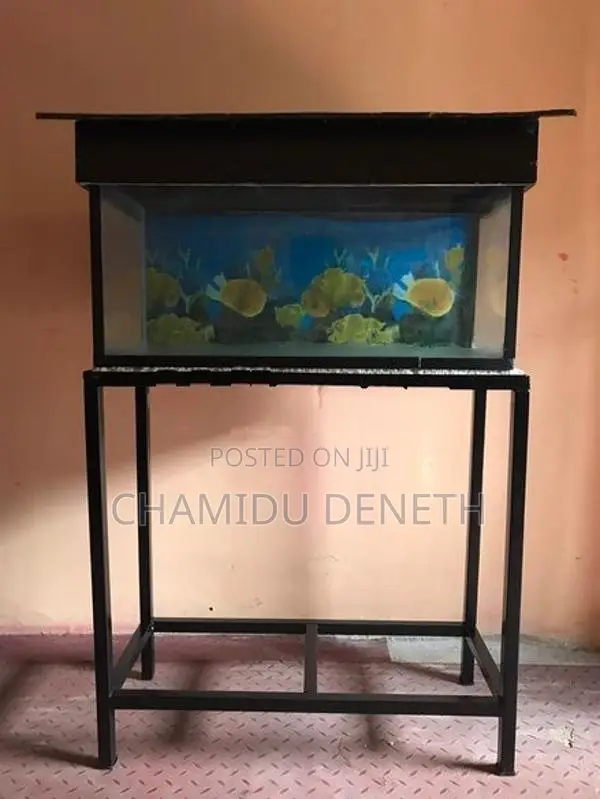 Fish Tank