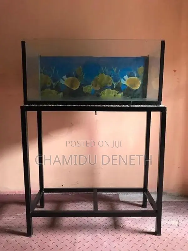 Fish Tank